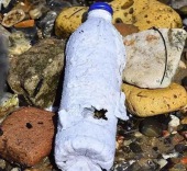新型纸质瓶将替代塑料水瓶！